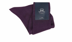 Aubergine